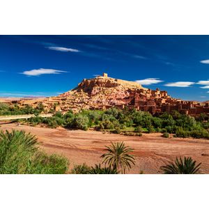 Casa si Gradina - Decoratiuni - Decoratiuni perete - Infinity.ro