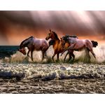 Casa si Gradina - Decoratiuni - Decoratiuni perete - Fototapet, autocolant, Cai maro in galop, 250 x 150 cm - Infinity.ro