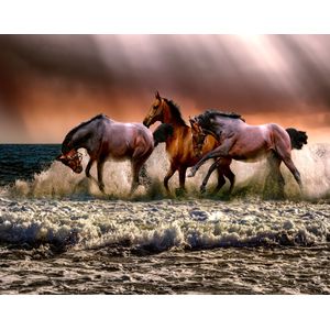 Casa si Gradina - Decoratiuni - Decoratiuni perete - Infinity.ro