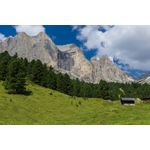 Casa si Gradina - Decoratiuni - Decoratiuni perete - Autocolant, Natura 47, 220 x 135 cm - Infinity.ro