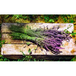 Casa si Gradina - Decoratiuni - Decoratiuni perete - Infinity.ro