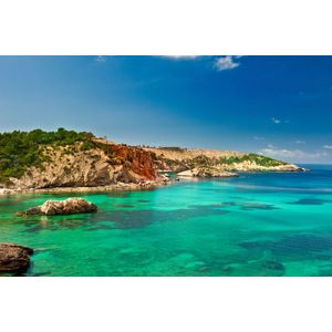 Casa si Gradina - Decoratiuni - Decoratiuni perete - Infinity.ro