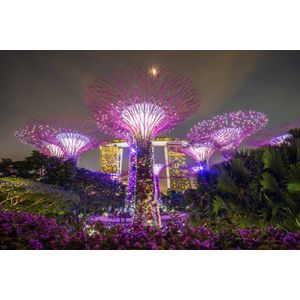 Casa si Gradina - Decoratiuni - Decoratiuni perete - Infinity.ro