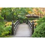 Casa si Gradina - Decoratiuni - Decoratiuni perete - Fototapet, Gradina japoneza 4, 200 x 150 cm - Infinity.ro