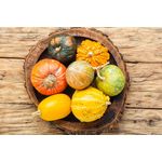 Casa si Gradina - Decoratiuni - Decoratiuni perete - Fototapet, Compozitie 26, 300 x 250 cm - Infinity.ro