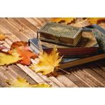 Casa si Gradina - Decoratiuni - Decoratiuni perete - Fototapet, Compozitie 45, 400 x 250 cm - Infinity.ro