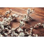 Casa si Gradina - Decoratiuni - Decoratiuni perete - Fototapet, Flori 90, 250 x 150 cm - Infinity.ro