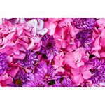 Casa si Gradina - Decoratiuni - Tapet - Fototapet, Flori 96, 250 x 150 cm - Infinity.ro