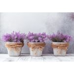 Casa si Gradina - Decoratiuni - Decoratiuni perete - Fototapet, Flori 71, 200 x 150 cm - Infinity.ro