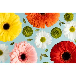 Casa si Gradina - Decoratiuni - Decoratiuni perete - Infinity.ro