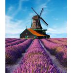 Casa si Gradina - Decoratiuni - Tapet - Fototapet, Lavanda 8, 200 x 255 cm - Infinity.ro