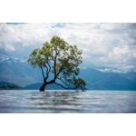Casa si Gradina - Decoratiuni - Tapet - Fototapet, Natura 177 Pom in mijlocul lacului, 300 x 200 cm - Infinity.ro