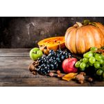 Casa si Gradina - Decoratiuni - Decoratiuni perete - Fototapet, Compozitie 31, 200 x 150 cm - Infinity.ro