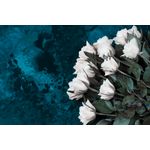 Casa si Gradina - Decoratiuni - Decoratiuni perete - Fototapet, Flori 172 Trandafiri albi, 200 x 150 cm - Infinity.ro