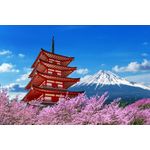Casa si Gradina - Decoratiuni - Tapet - Fototapet, Flori 154 Pagoda cu ciresi infloriti, 200 x 150 cm - Infinity.ro