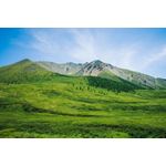 Casa si Gradina - Decoratiuni - Decoratiuni perete - Fototapet, Natura 108, 250 x 200 cm - Infinity.ro