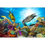 Casa si Gradina - Decoratiuni - Tapet - Fototapet, Lumea acvatica, recif coral, 250 x 150 cm - Infinity.ro