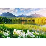 Casa si Gradina - Decoratiuni - Tapet - Fototapet, Natura 137, 200 x 150 cm - Infinity.ro
