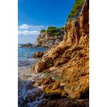 Casa si Gradina - Decoratiuni - Tapet - Fototapet, Natura 145, 150 x 205 cm - Infinity.ro