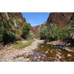 Casa si Gradina - Decoratiuni - Tablouri - Tablou canvas Natura 124, 75 x 50 cm - Infinity.ro