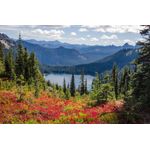 Casa si Gradina - Decoratiuni - Decoratiuni perete - Fototapet, Natura 153 Flori, lac, munti, 250 x 150 cm - Infinity.ro