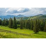 Casa si Gradina - Decoratiuni - Decoratiuni perete - Fototapet, Natura 155 Pajiste si brazi, 300 x 250 cm - Infinity.ro