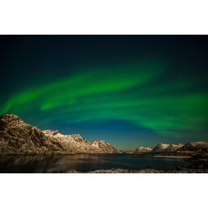 Casa si Gradina - Decoratiuni - Decoratiuni perete - Infinity.ro