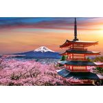 Casa si Gradina - Decoratiuni - Tapet - Fototapet, Flori 152 Templu japonez cu ciresi infloriti in apus, 250 x 200 cm - Infinity.ro