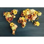 Casa si Gradina - Decoratiuni - Tapet - Fototapet, Continente de flori, 200 x 150 cm - Infinity.ro