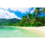 Casa si Gradina - Decoratiuni - Decoratiuni perete - Tablou canvas Plaja cu multi palmieri, 75 x 50 cm - Infinity.ro