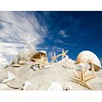 Casa si Gradina - Decoratiuni - Decoratiuni perete - Tablou canvas Plaja cu stelute, 45 x 30 cm - Infinity.ro