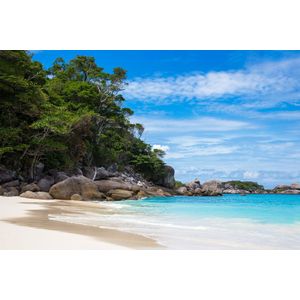 Casa si Gradina - Decoratiuni - Decoratiuni perete - Infinity.ro