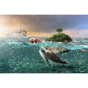 Casa si Gradina - Decoratiuni - Tapet - Infinity.ro