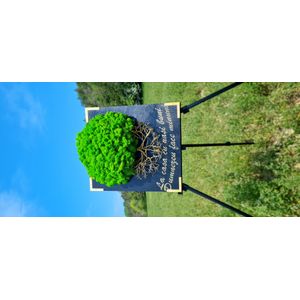 Tablou decorat cu licheni naturali stabilizati si sarma rasucita manual, 3D, cadou pentru nasi, 55x45 cm