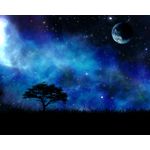 Casa si Gradina - Decoratiuni - Tapet - Fototapet de perete, autoadeziv si lavabil, Univers 9 Pom printre stele, 250 x 150 cm - Infinity.ro