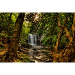 Casa si Gradina - Decoratiuni - Tapet - Autocolant, Mica cascada din padure, 270 x 200 cm - Infinity.ro