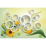 Casa si Gradina - Decoratiuni - Decoratiuni perete - Autocolant, Margarete si cercuri, 270 x 200 cm - Infinity.ro