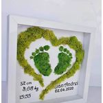Casa si Gradina - Decoratiuni - Tablouri - Tablou cu licheni naturali stabilizati, Cadou Bebelus, 20x25 cm - Infinity.ro