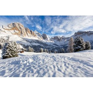 Casa si Gradina - Decoratiuni - Decoratiuni perete - Infinity.ro