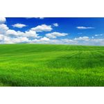 Casa si Gradina - Decoratiuni - Tapet - Fototapet de perete, autoadeziv si lavabil, Natura 105, 250 x 150 cm - Infinity.ro