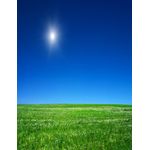 Casa si Gradina - Decoratiuni - Tapet - Fototapet de perete, autoadeziv si lavabil, Natura 102, 150 x 205 cm - Infinity.ro