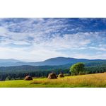 Casa si Gradina - Decoratiuni - Decoratiuni perete - Fototapet de perete, autoadeziv si lavabil, Natura 149, 270 x 200 cm - Infinity.ro