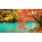 Casa si Gradina - Decoratiuni - Tapet - Fototapet de perete, autoadeziv si lavabil, Natura 151 Toamna pe lac, 250 x 200 cm - Infinity.ro