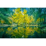 Casa si Gradina - Decoratiuni - Decoratiuni perete - Fototapet de perete, autoadeziv si lavabil, Natura 60, 200 x 150 cm - Infinity.ro