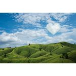 Casa si Gradina - Decoratiuni - Tapet - Fototapet de perete, autoadeziv si lavabil, Natura 67, 270 x 200 cm - Infinity.ro