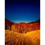 Casa si Gradina - Decoratiuni - Tapet - Fototapet de perete, autoadeziv si lavabil, Natura 92, 135 x 225 cm - Infinity.ro
