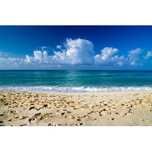 Casa si Gradina - Decoratiuni - Decoratiuni perete - Infinity.ro