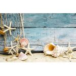 Casa si Gradina - Decoratiuni - Decoratiuni perete - Fototapet de perete, autoadeziv si lavabil, Plasa cu stele 2, 200 x 150 cm - Infinity.ro