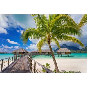 Casa si Gradina - Decoratiuni - Decoratiuni perete - Infinity.ro