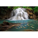 Casa si Gradina - Decoratiuni - Tapet - Fototapet, autocolant, Cascada cu pesti, 200 x 150 cm - Infinity.ro